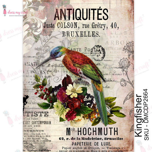 Kingfisher - Transfer Me