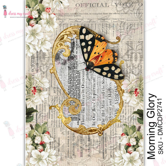 Morning Glory - Transfer Me