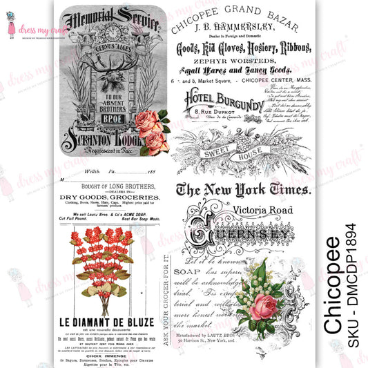 Chicopee - Transfer Me