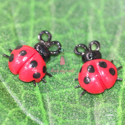 Miniature Lady Bug