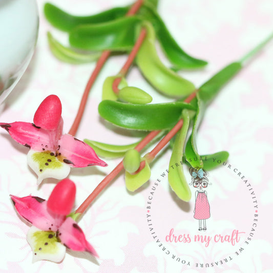 Orchid Bunch - Pinkish White